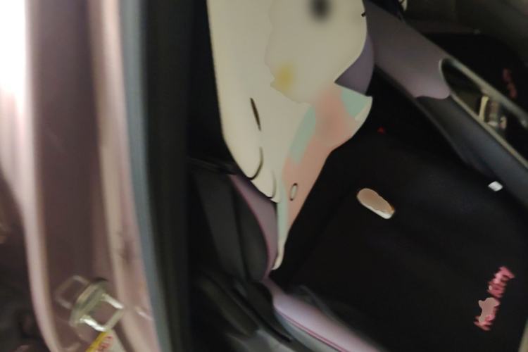 Used BYD Dolphin 2021 405 km Fashion Edition Right Front Seat