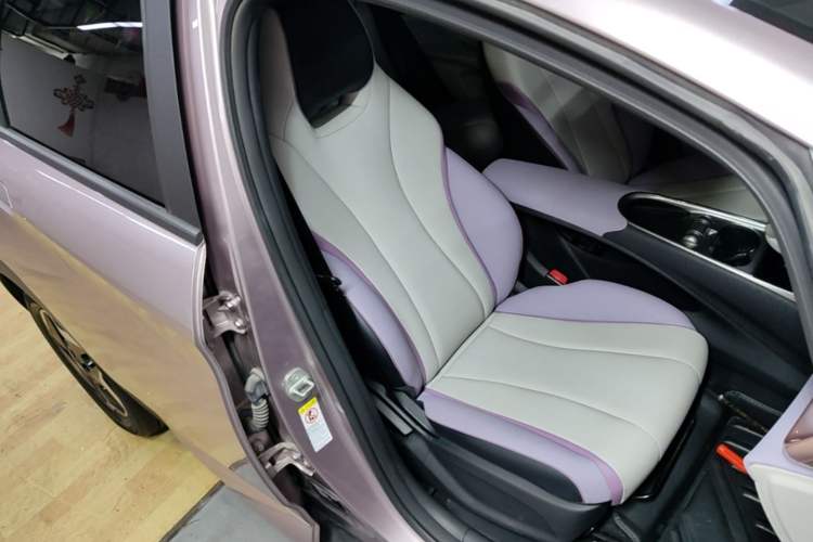 Used BYD Dolphin 2021 405 km Fashion Edition Right Front Seat