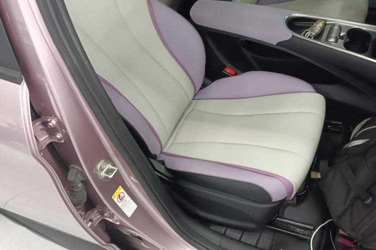 Used BYD Dolphin 2021 401km Knight Edition Right Front Seat