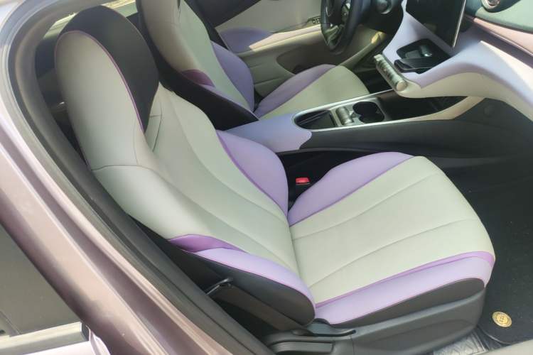 Used BYD Dolphin 2021 405 km Fashion Edition Right Front Seat