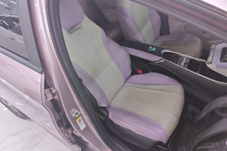Used BYD Dolphin 2021 405 km Fashion Edition Right Front Seat