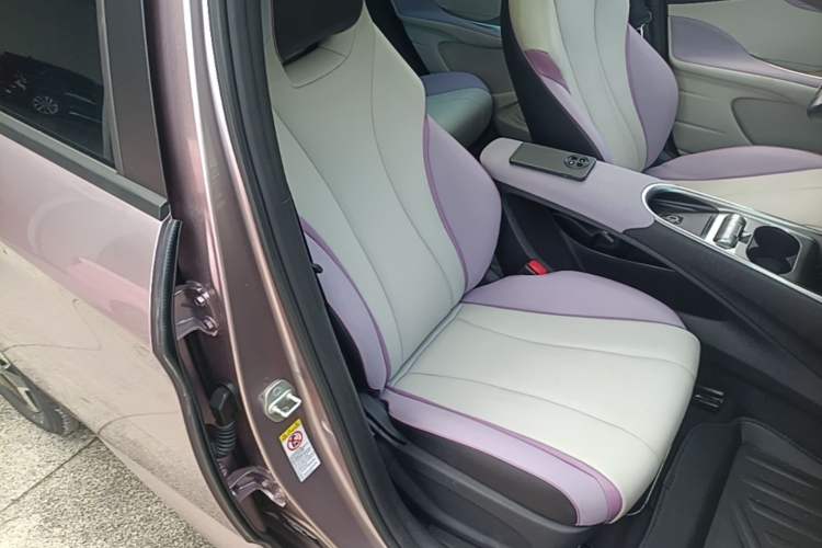 Used BYD Dolphin 2021 405 km Fashion Edition Right Front Seat