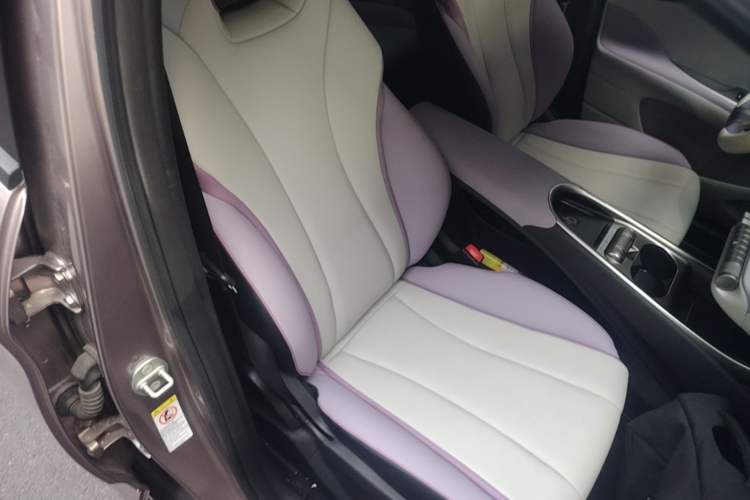 Used BYD Dolphin 2021 405 km Fashion Edition Right Front Seat