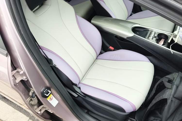 Used BYD Dolphin 2021 405 km Fashion Edition Right Front Seat