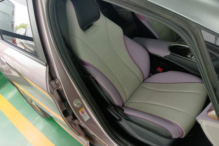 Used BYD Dolphin 2021 405 km Fashion Edition Right Front Seat