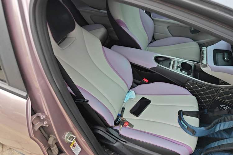 Used BYD Dolphin 2021 401km Knight Edition Right Front Seat