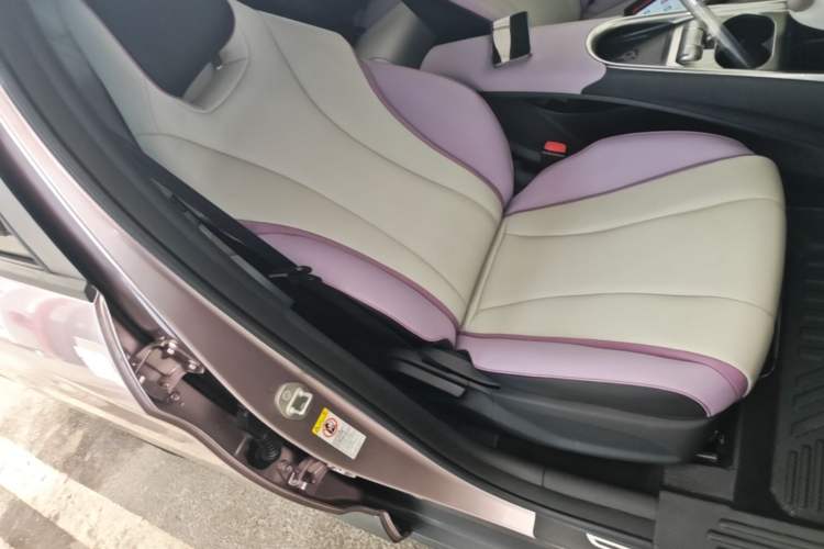 Used BYD Dolphin 2021 401km Knight Edition Right Front Seat