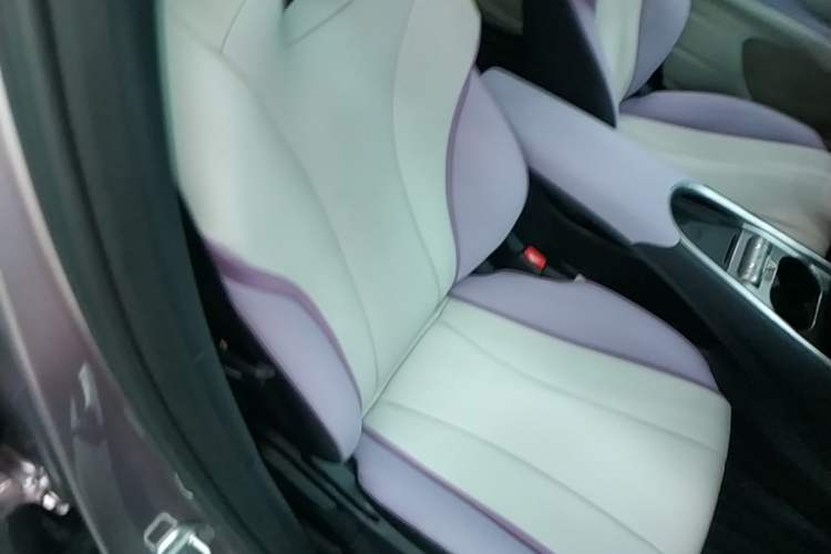 Used BYD Dolphin 2021 405 km Fashion Edition Right Front Seat