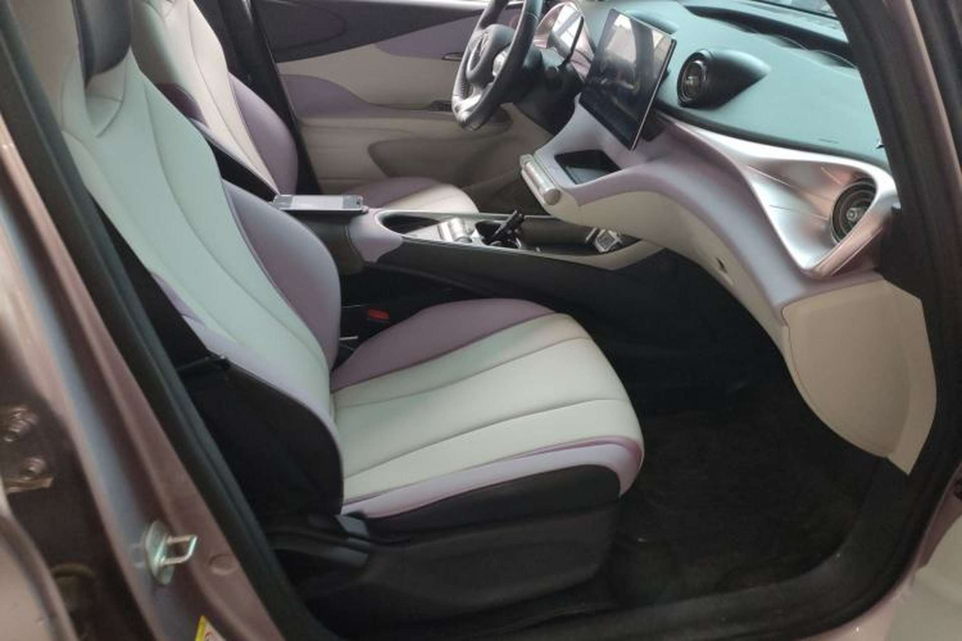 Used BYD Dolphin 2021 405 km Fashion Edition Right Front Seat