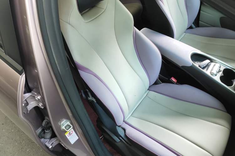 Used BYD Dolphin 2021 405 km Fashion Edition Right Front Seat
