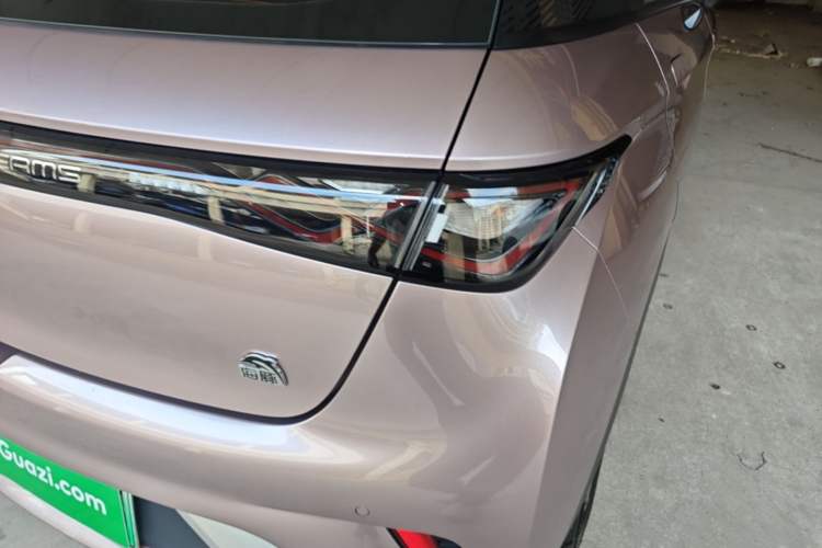 Used BYD Dolphin 2021 405 km Fashion Edition Right Rear Taillight