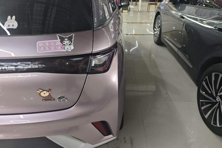 Used BYD Dolphin 2021 405 km Fashion Edition Right Rear Taillight