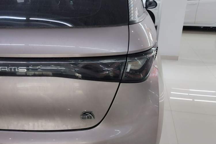 Used BYD Dolphin 2021 405 km Fashion Edition Right Rear Taillight