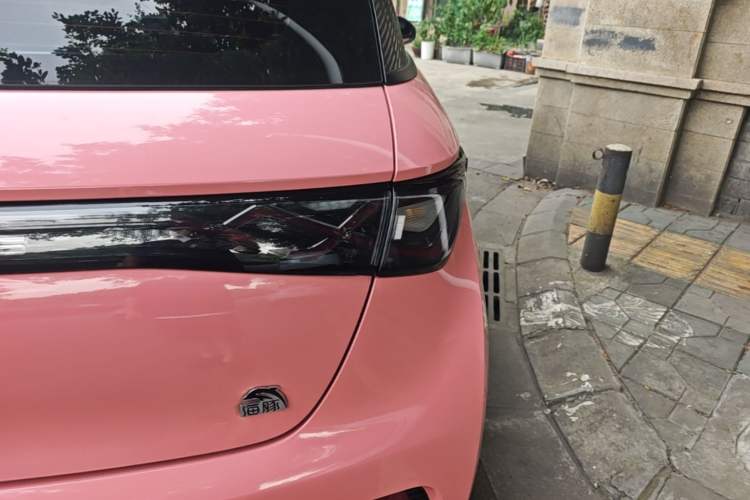 Used BYD Dolphin 2021 405 km Free Version Right Rear Taillight