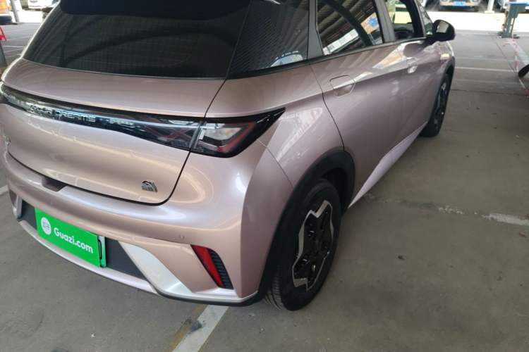 Used BYD Dolphin 2021 405 km Fashion Edition Right Rear Taillight