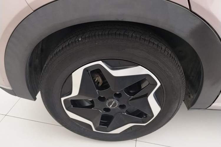 Used BYD Dolphin 2021 405 km Fashion Edition Right Rear Wheel Hub