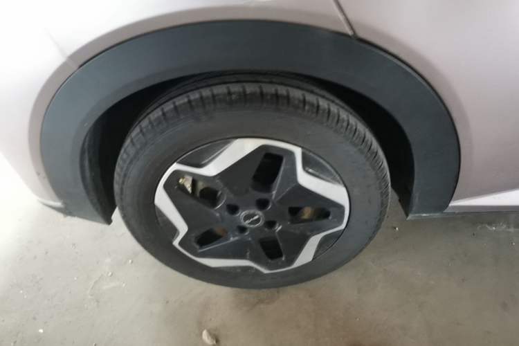 Used BYD Dolphin 2021 405 km Free Version Right Rear Wheel Hub