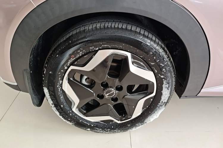 Used BYD Dolphin 2021 405 km Fashion Edition Right Rear Wheel Hub