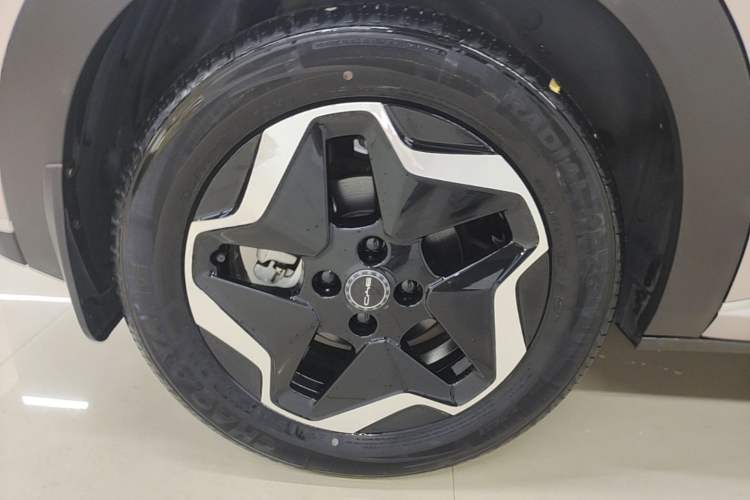Used BYD Dolphin 2021 405 km Fashion Edition Right Rear Wheel Hub