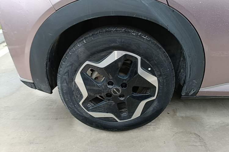 Used BYD Dolphin 2021 405 km Fashion Edition Right Rear Wheel Hub