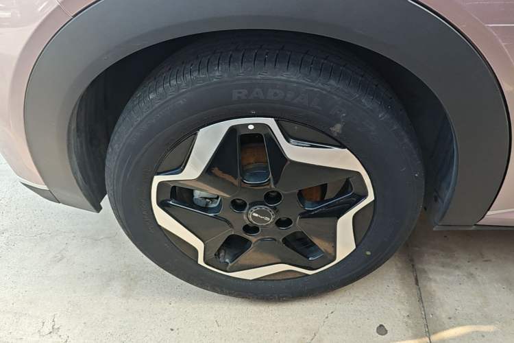 Used BYD Dolphin 2021 405 km Fashion Edition Right Rear Wheel Hub