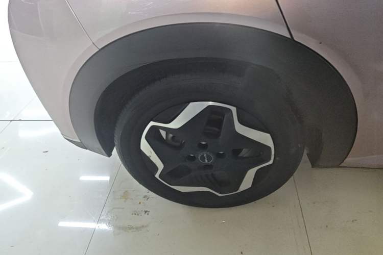 Used BYD Dolphin 2021 405 km Fashion Edition Right Rear Wheel Hub