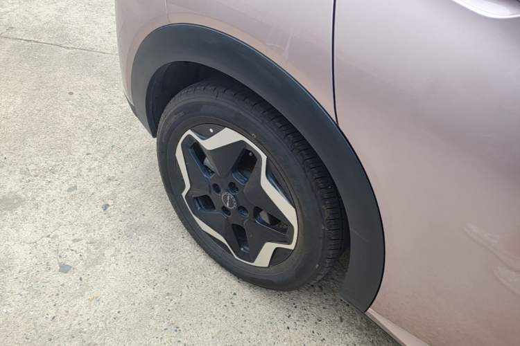Used BYD Dolphin 2021 405 km Fashion Edition Right Rear Wheel Hub