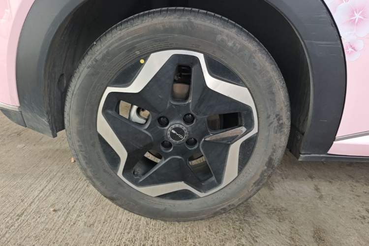 Used BYD Dolphin 2021 405 km Fashion Edition Right Rear Wheel Hub