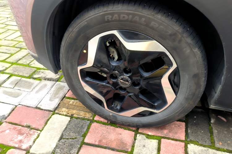 Used BYD Dolphin 2021 405 km Fashion Edition Right Rear Wheel Hub