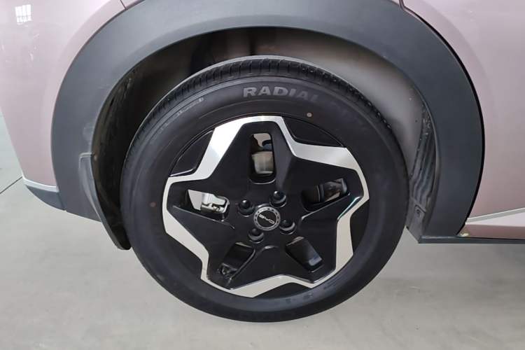 Used BYD Dolphin 2021 405 km Free Version Right Rear Wheel Hub