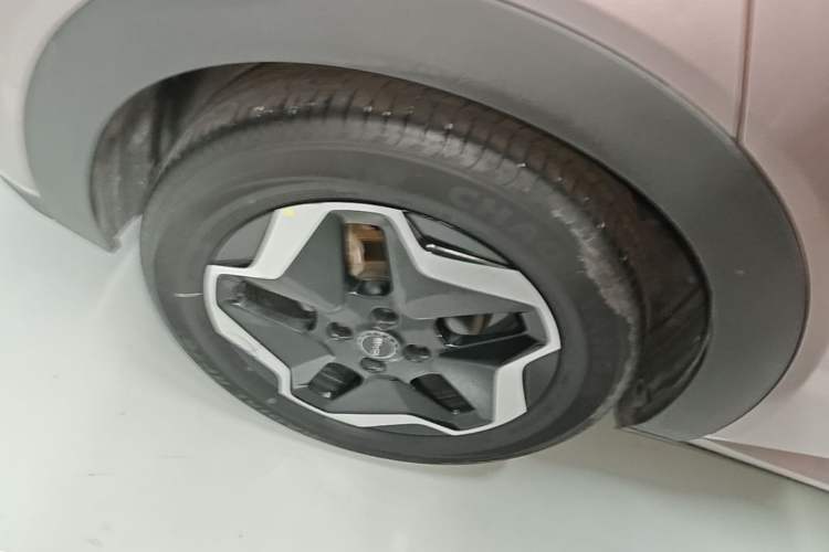 Used BYD Dolphin 2021 405 km Fashion Edition Right Rear Wheel Hub