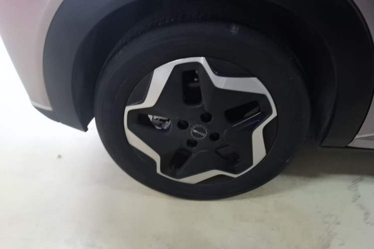 Used BYD Dolphin 2021 405 km Fashion Edition Right Rear Wheel Hub