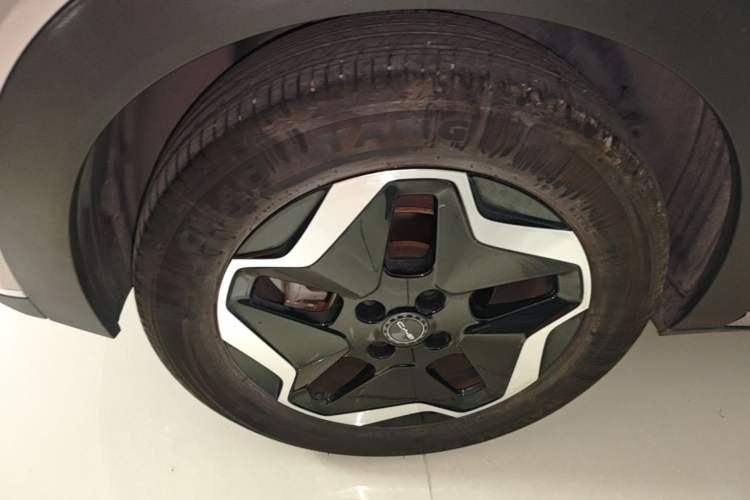 Used BYD Dolphin 2021 405 km Fashion Edition Right Rear Wheel Hub