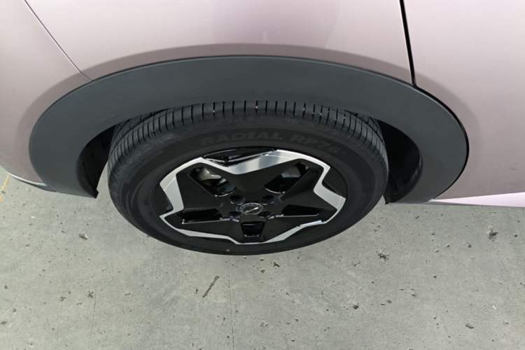 Used BYD Dolphin 2021 405 km Free Version Right Rear Wheel Hub