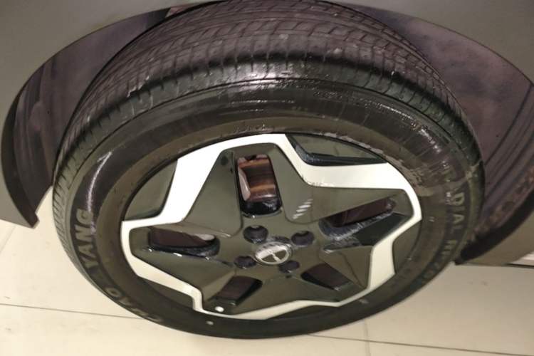 Used BYD Dolphin 2021 405 km Fashion Edition Right Rear Wheel Hub