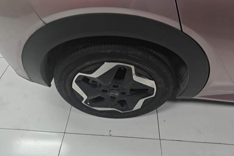 Used BYD Dolphin 2021 405 km Free Version Right Rear Wheel Hub