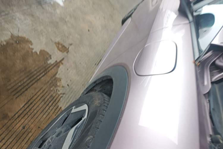 Used BYD Dolphin 2021 405 km Fashion Edition Right Side Sill