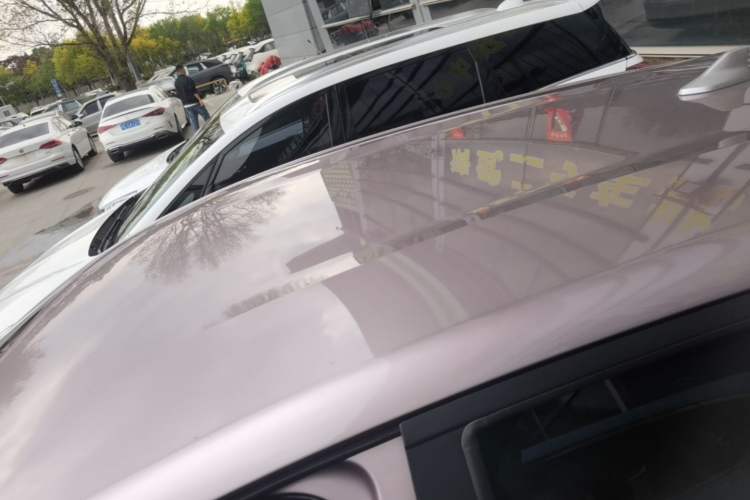 Used BYD Dolphin 2021 405 km Free Version Roof