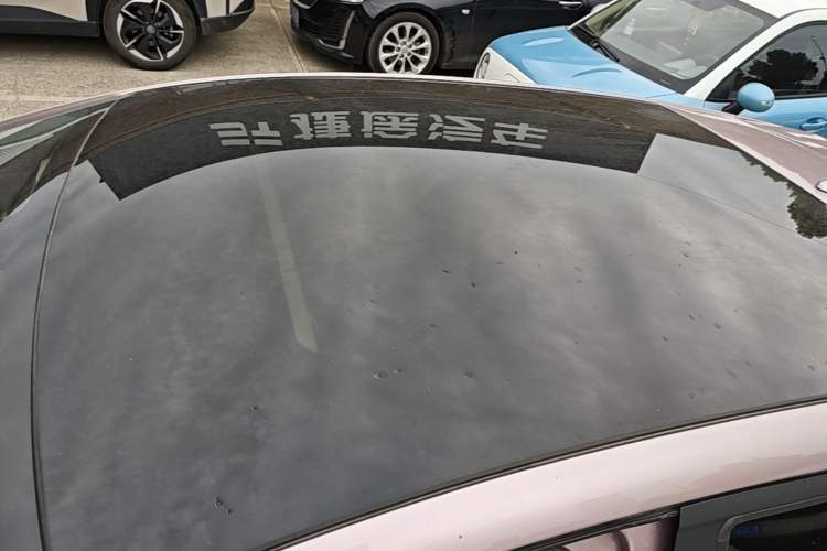 Used BYD Dolphin 2021 405 km Fashion Edition Roof