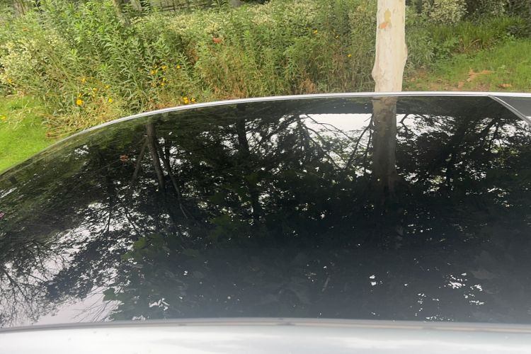 Used BYD Dolphin 2021 405 km Fashion Edition Roof