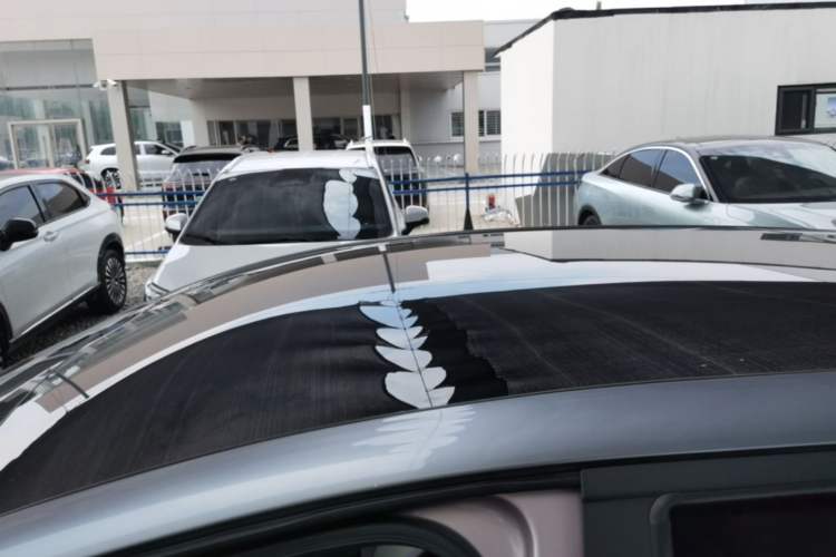 Used BYD Dolphin 2021 401km Knight Edition Roof