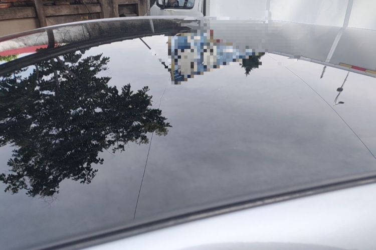 Used BYD Dolphin 2021 405 km Fashion Edition Roof