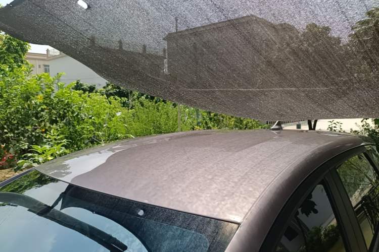 Used BYD Dolphin 2021 405 km Free Version Roof