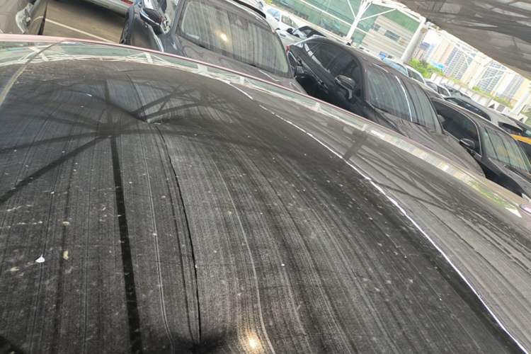 Used BYD Dolphin 2021 405 km Fashion Edition Roof