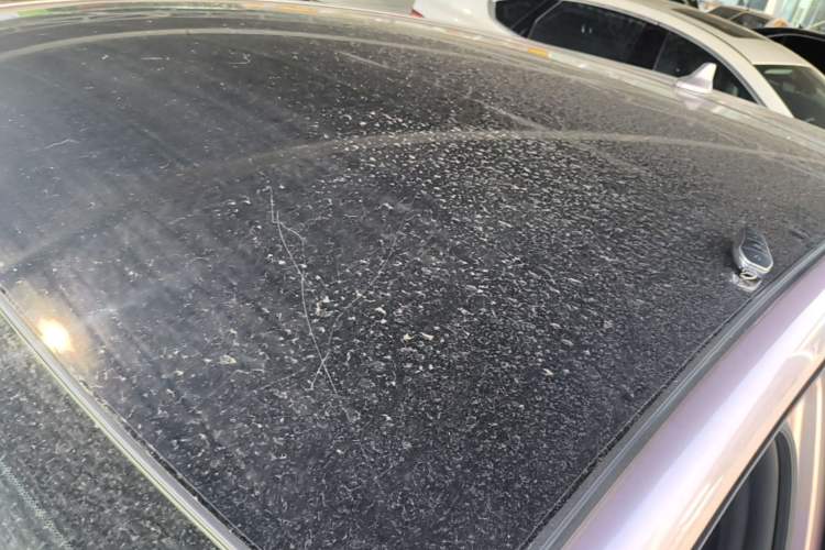 Used BYD Dolphin 2021 405 km Fashion Edition Roof