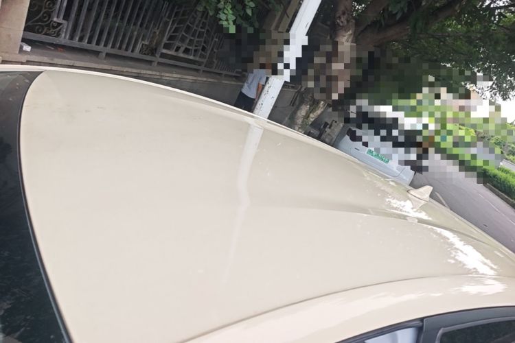 Used BYD Dolphin 2021 405 km Free Version Roof