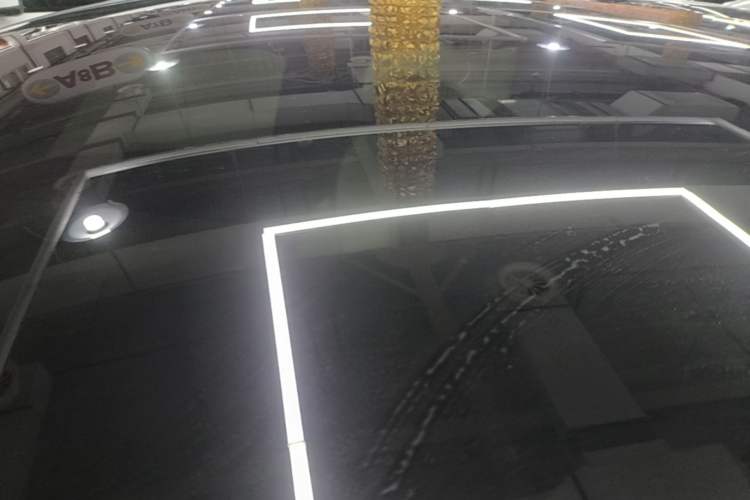 Used BYD Dolphin 2021 405 km Free Version Roof
