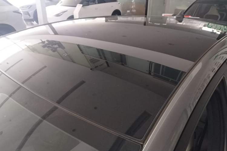Used BYD Dolphin 2021 405 km Fashion Edition Roof