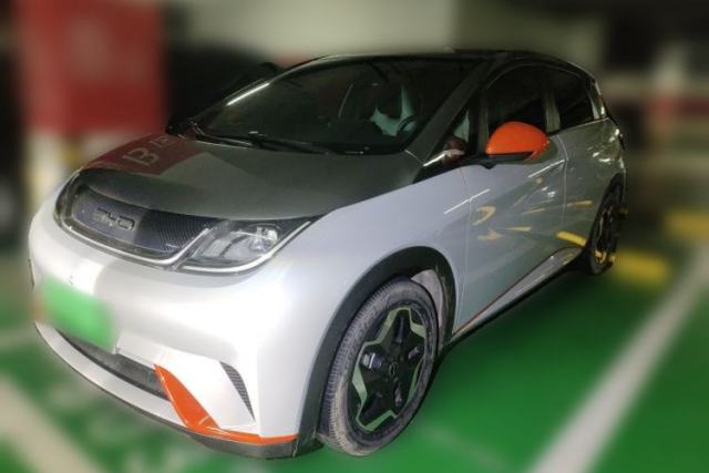 BYD Dolphin 2021 405 km Fashion Edition de segunda mano