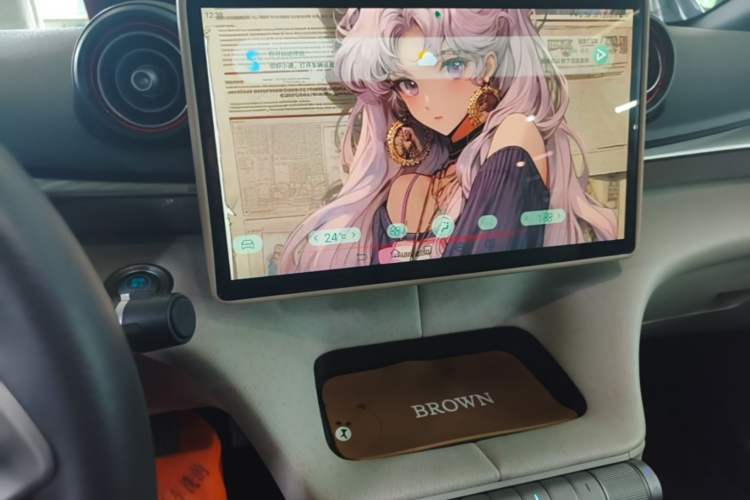 Used BYD Dolphin 2021 405 km Fashion Edition Audio And AC Panel